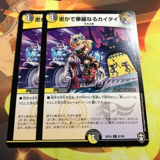 密かで華麗なるカイタイ