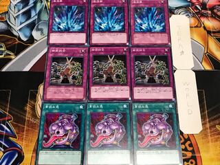 貪欲 御前 激流葬 ノーマル 各3枚セット まとめ てら