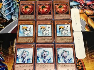 Effects Rescue Tomatoes Normal, set of 3 each, bulk