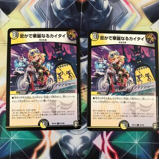 密かで華麗なるカイタイ 2枚セット