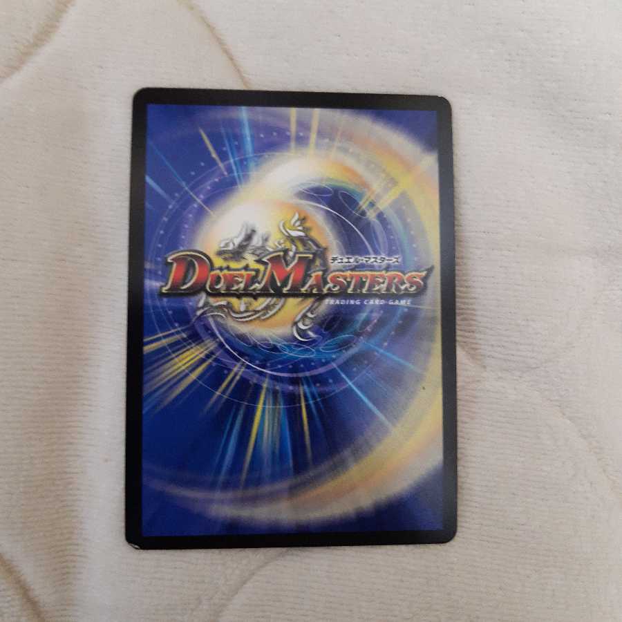 ゆよりさん専用 一王二命三眼槍  シク おまけアリ