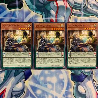 【N】アンカモフライト 3枚 LIOV-JP026