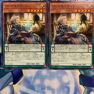 【N】アンカモフライト 2枚 LIOV-JP026