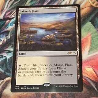 【MTG】湿地の干潟　SecretLair