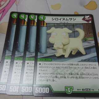 シロイヌムサシ