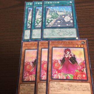 ローズ・プリンセス