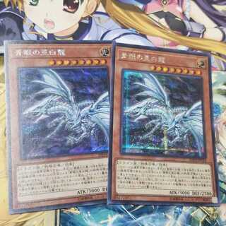 遊戯王
青眼の亜白龍