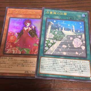 ローズ・プリンセス ウルトラレア