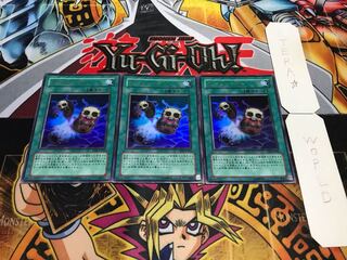 ワーム・ベイト ウルトラ 3枚セット てら