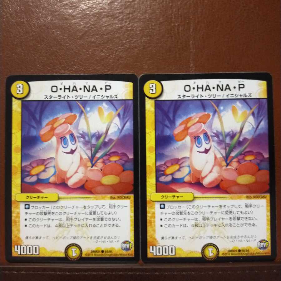 old3772 set discount O・HA・NA・P