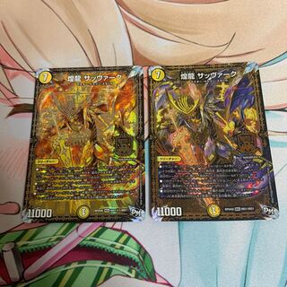 煌龍 サッヴァーク　2枚