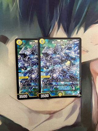 絶対の畏れ 防鎧 2枚セット