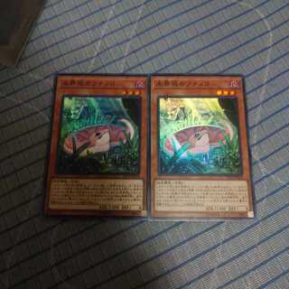 未界域ツチノコ×2