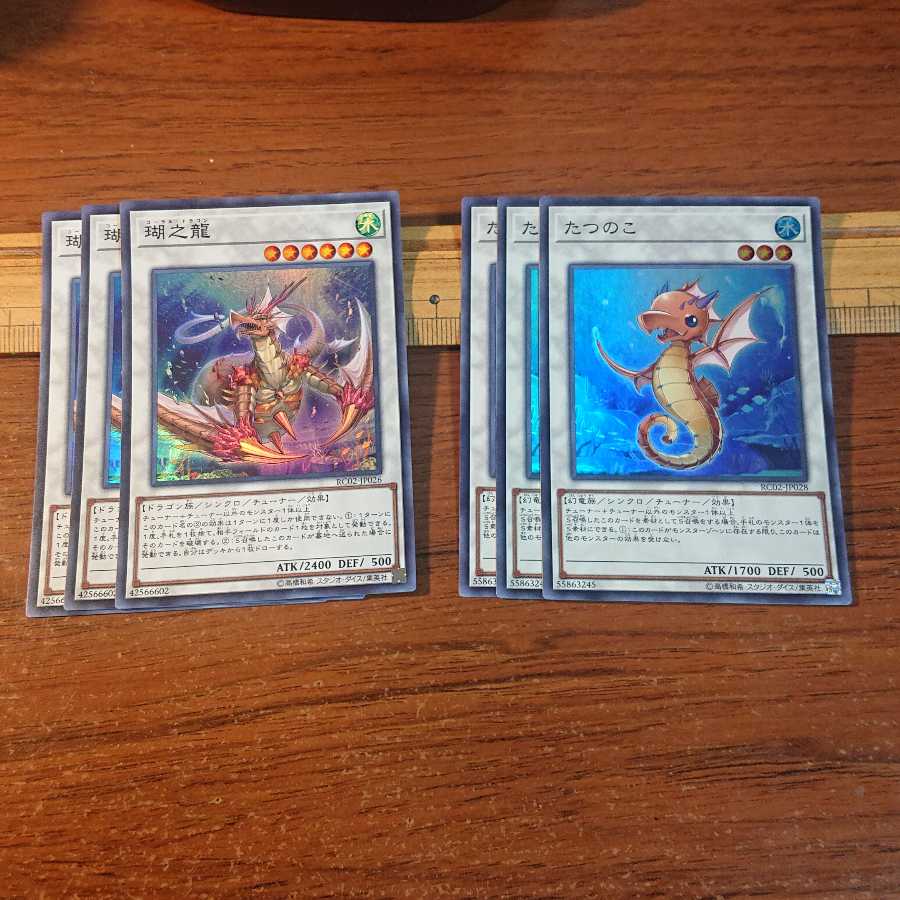 瑚之龍 SR たつのこ SR 各3枚