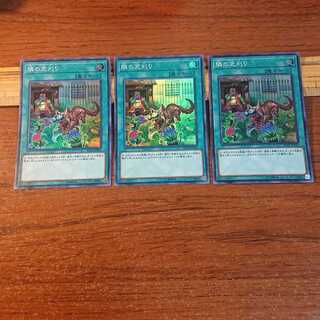 隣の芝刈り スーパーレア 3枚