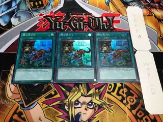 隣の芝刈り スーパー 3枚セット てら