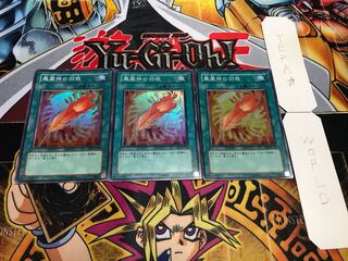 鳳凰神の羽根 スーパー 3枚セット てら