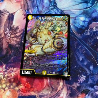 「絶対の楯騎士」