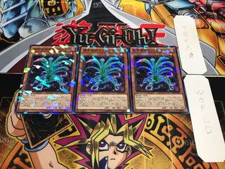 Predaplant Sarraceniant Normal Parallel Set of 3 Tera