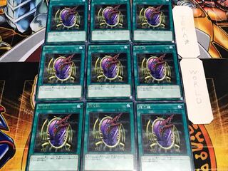 龍の鏡 レア 9枚セット てら