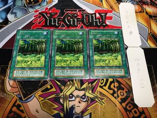 森 初期 レア 3枚セット てら