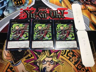 十二獣ワイルドボウ レア 3枚セット てら