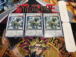 源竜星-ボウテンコウ レア 3枚セット てら