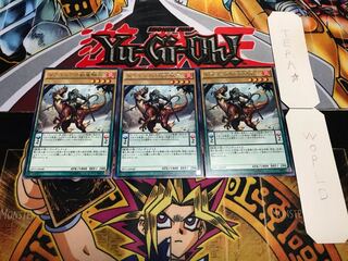 ドラコニアの獣竜騎兵 レア 3枚セット てら