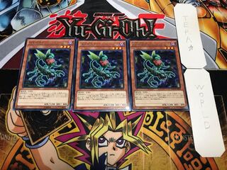 捕食植物オフリス・スコーピオ レア 3枚セット てら