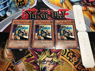 墓守の司令官 レア 3枚セット てら