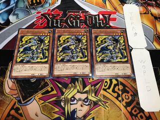 十二獣モルモラット レア 3枚セット てら