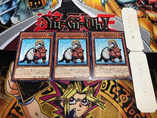 レスキューフェレット レア 3枚セット てら