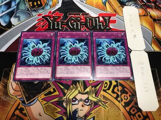 バージェストマ・ディノミスクス EP16 レア 3枚セット てら