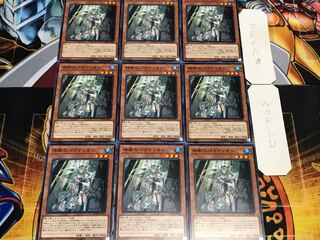 神樹のパラディオン ノーマル 9枚セット てら