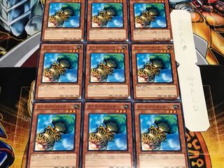 ファイバーポッド ノーマル 9枚セット てら