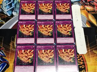 絶滅の定め ノーマル 9枚セット てら