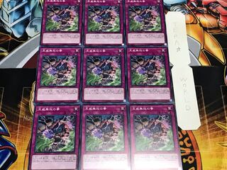 天威無双の拳 ノーマル 9枚セット てら