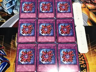 D.D.ダイナマイト ノーマル 9枚セット てら