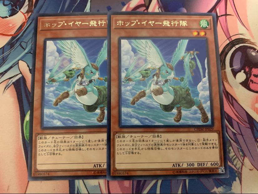 ポップ・イヤー飛行隊