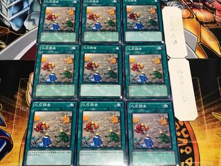 化石調査 ノーマル 9枚セット てら