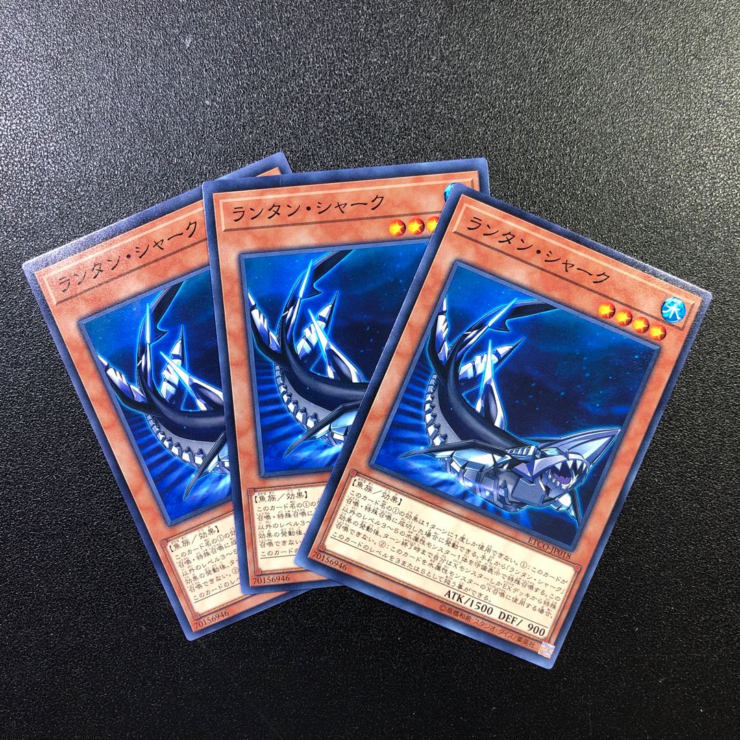 【N】ランタン・シャーク【ノーマル】