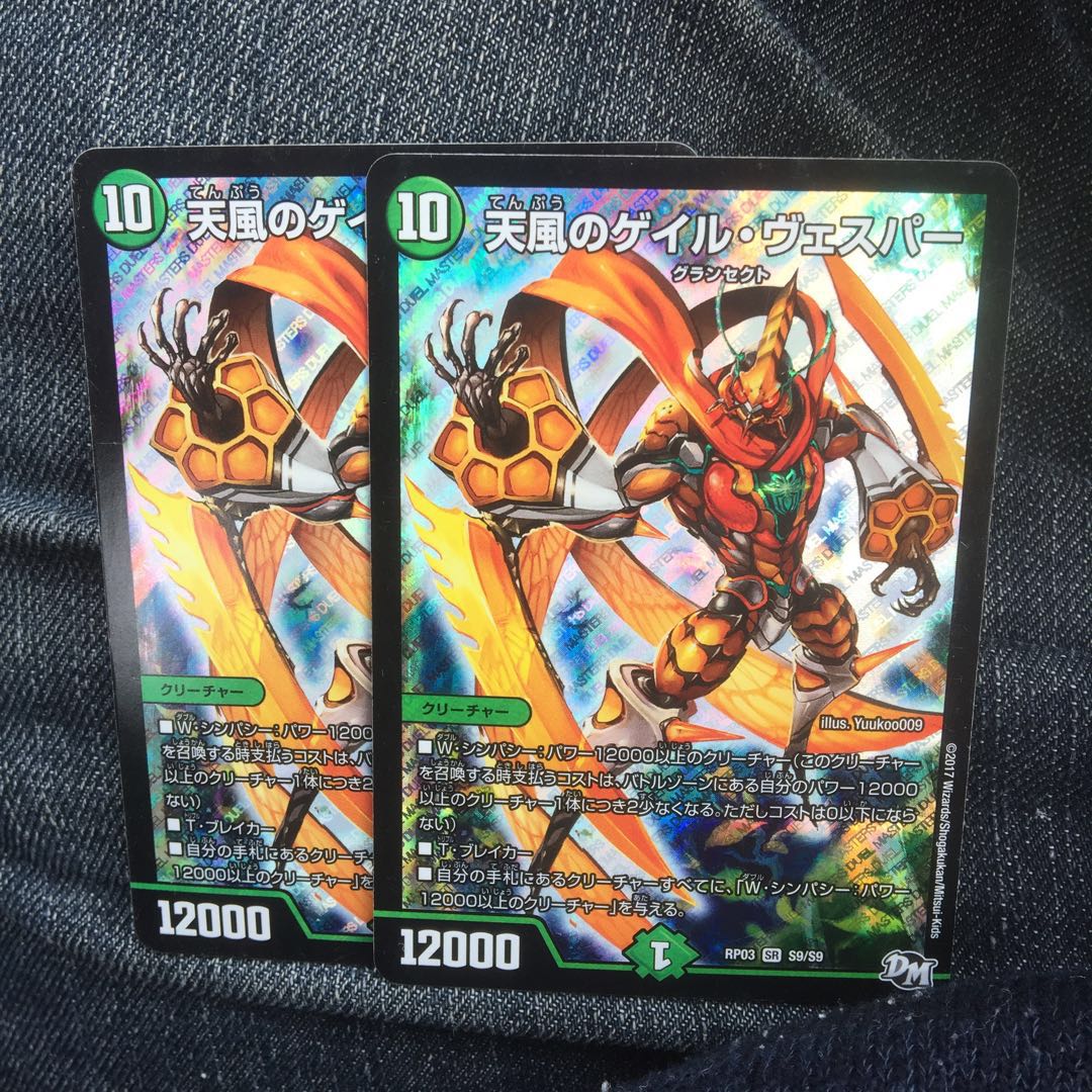 専用 天風のゲイル・ヴェスパー TS-10 2枚