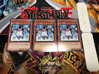 大皇帝ペンギン ノーマル 3枚セット てら