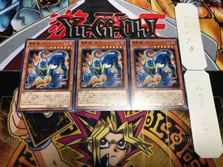 雷獣龍-サンダー・ドラゴン ノーマル 3枚セット てら