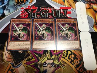 薔薇の聖騎士 ノーマル 3枚セット てら