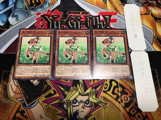 森の聖獣 ヴァレリフォーン ノーマル 3枚セット てら