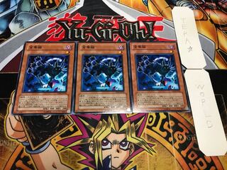 金華猫 ノーマル 3枚セット てら