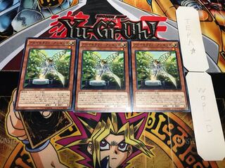 アロマセラフィ-アンゼリカ ノーマル 3枚セット てら