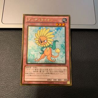 ダンディライオン ゴールドレア