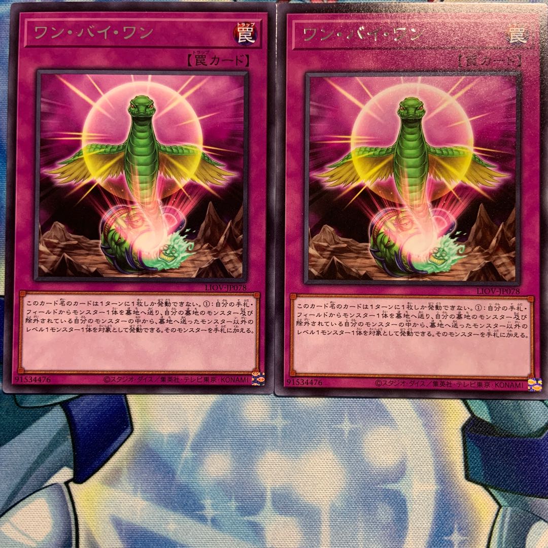 【R】ワン・バイ・ワン 2枚 LIOV-JP078